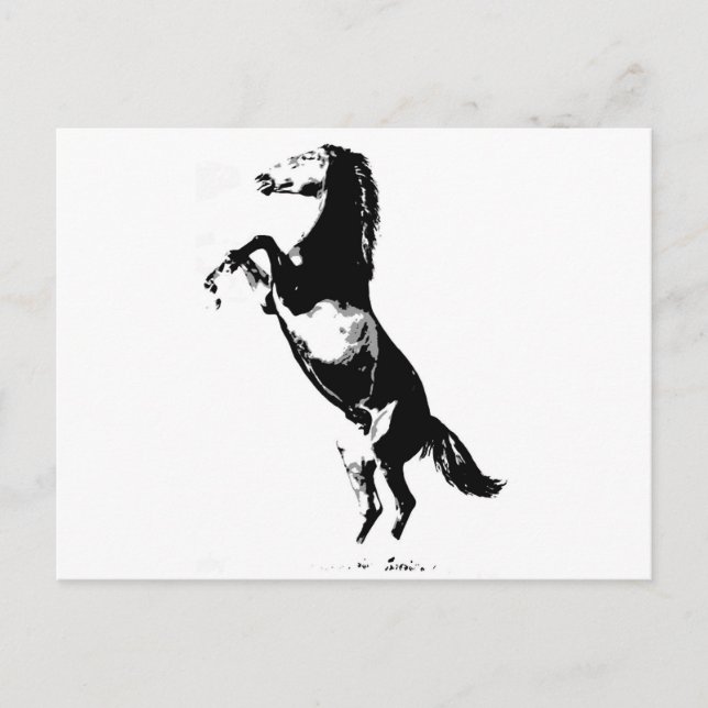 Horse Rearing Postcard (Front)