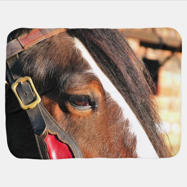 HORSE RECEIVING BLANKET (Horizontal)