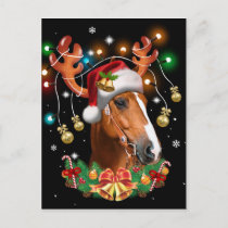Horse Reindeer Postcard