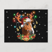 Horse Reindeer Postcard