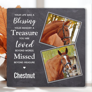 Horse Remembrance Memorial Photo Collage Plaque