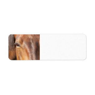 Horse return address labels