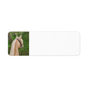 Horse return address labels