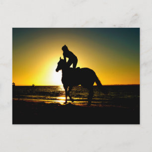 Horse rider beach beautiful scenery postcard