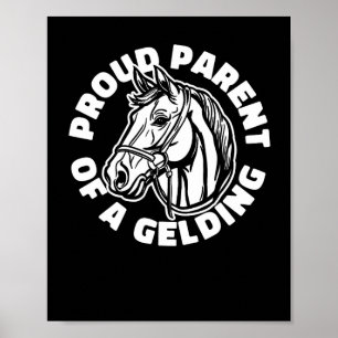 Horse Rider Gelding - Horseback Horse Riding Poster