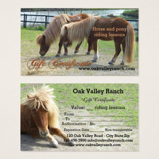 Horse Riding Lessons Gift Certificate Template Zazzle com