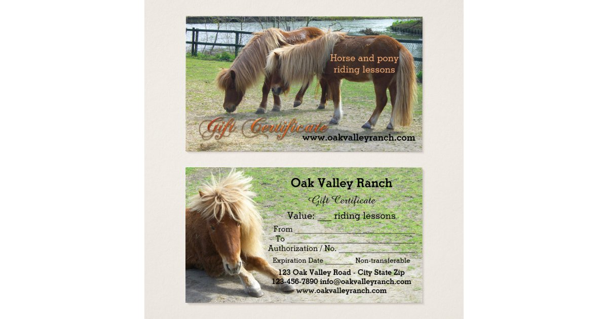 Horse Riding Lessons Gift Certificate Template Zazzle com