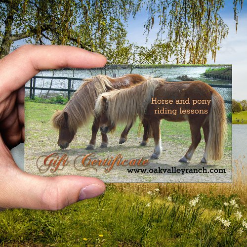 Horse Riding Lessons Gift Certificate Template Business Card Template