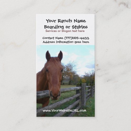Horse Riding Stables or Boarding Services Business Card Templates