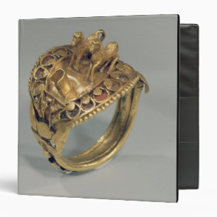 Horse ring (gold and cornelian) 3 ring binder