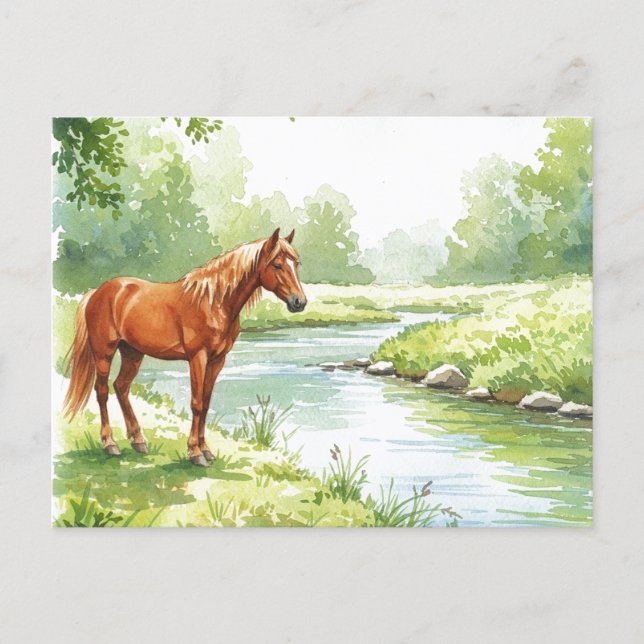 Horse River Peaceful Watercolor Nature Postcard (Front)
