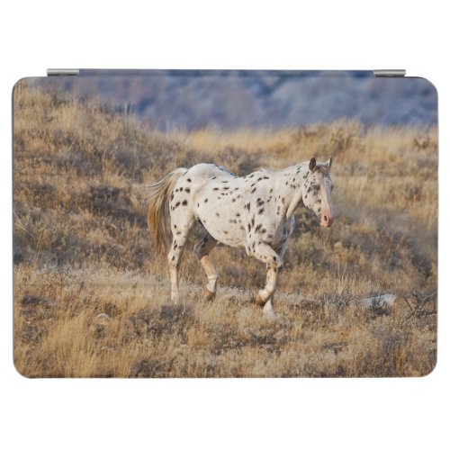 Horse Roaming the Scenic Hills of the Big Horn iPad Air Cover