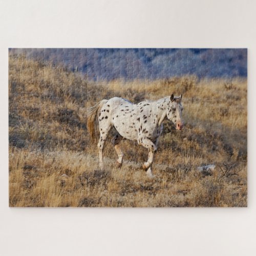 Horse Roaming the Scenic Hills of the Big Horn Jigsaw Puzzle