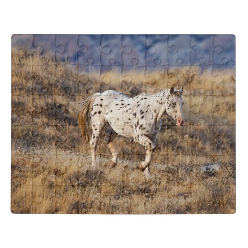 Horse Roaming the Scenic Hills of the Big Horn Jigsaw Puzzle