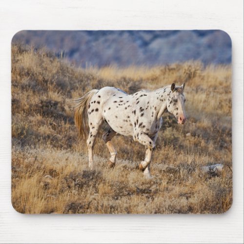 Horse Roaming the Scenic Hills of the Big Horn Mouse Pad