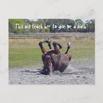 Horse Rolling Postcard by TrinityFarm at Zazzle
