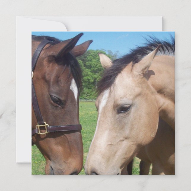 Horse Romance Invitation (Front)