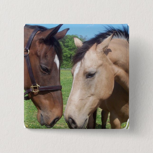 Horse Romance Square Pin (Front)