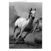 Horse Running (Front)