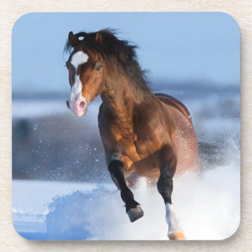 Horse running across the field in winter beverage coaster
