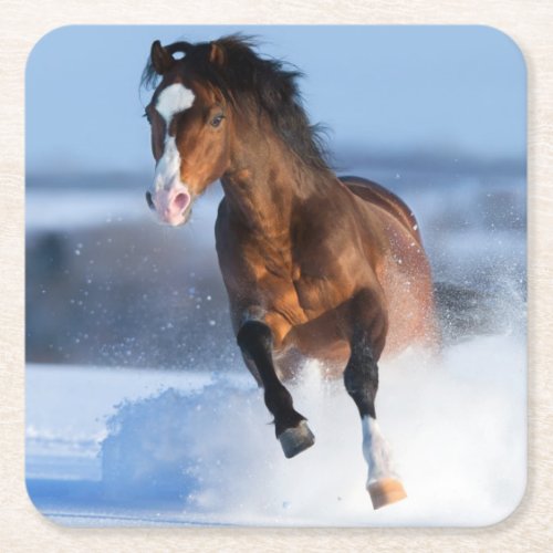 Horse running across the field in winter square paper coaster