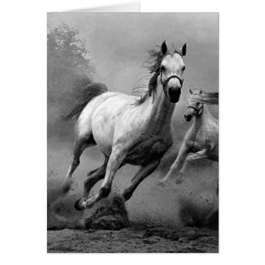 Horse Running Cards (Front)