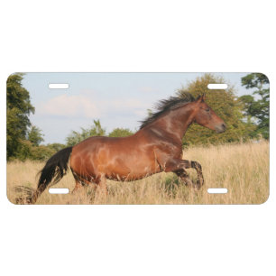 Horse Running License Plate
