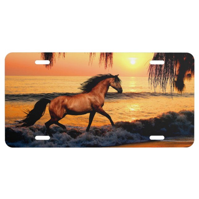 Horse running on sunset beach license plate (Front)