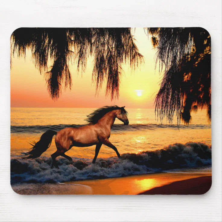 wild horse running on beach