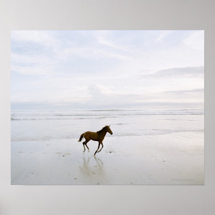 Horse running on the beach print