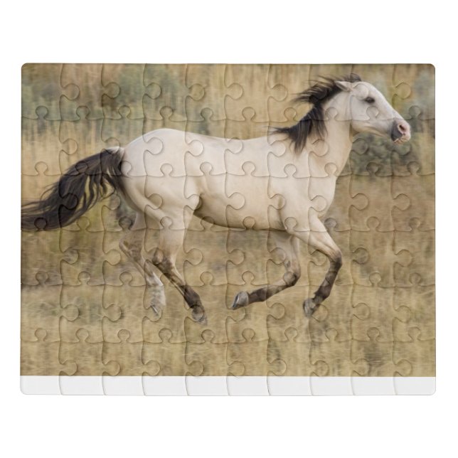 Horse Running Through Prairie Grass Jigsaw Puzzle (Puzzle Horizontal)