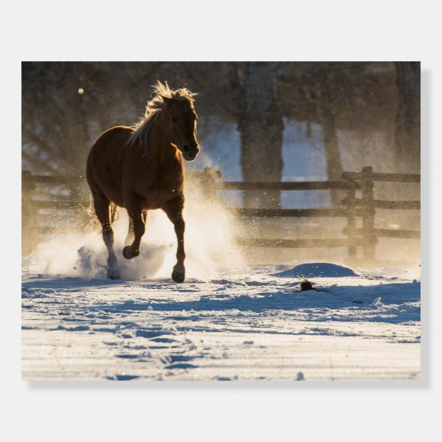 Horse Running Through the Snow Foam Board (Front)