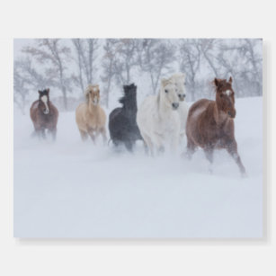 Horse Running Through the Snow Foam Board