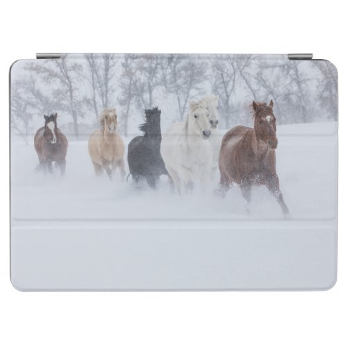 Horse Running Through the Snow iPad Air Cover