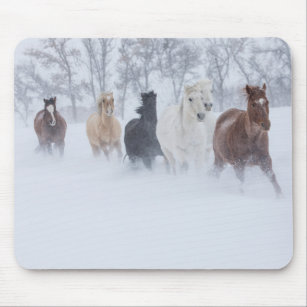 Horse Running Through the Snow Mouse Pad