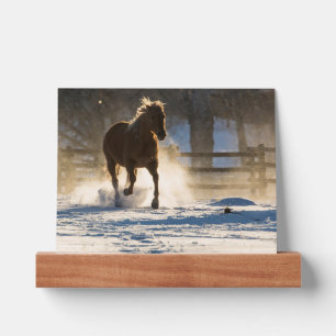 Horse Running Through the Snow Picture Ledge