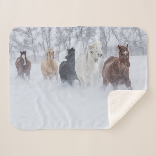 Horse Running Through the Snow Sherpa Blanket