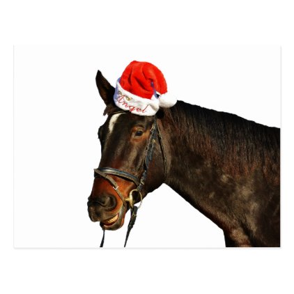 Horse santa - christmas horse - merry christmas postcard