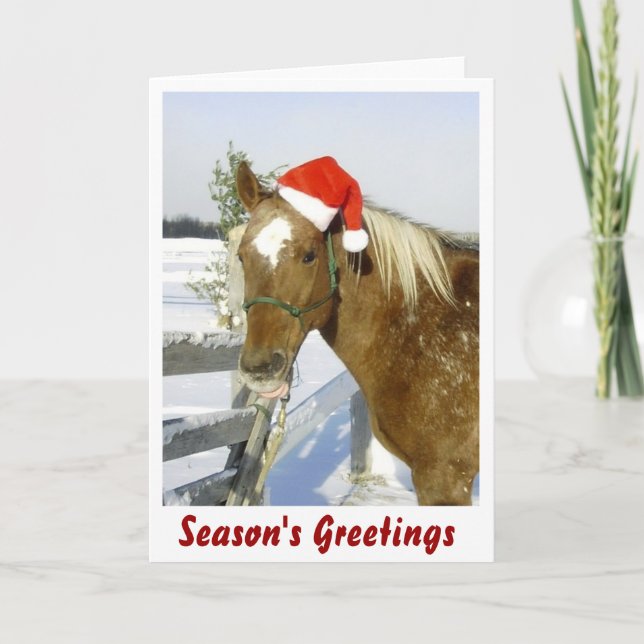 Horse Season's Greetings Holiday Card (Front)