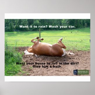 Horse Sense - Want your horse to roll in the dirt? Poster