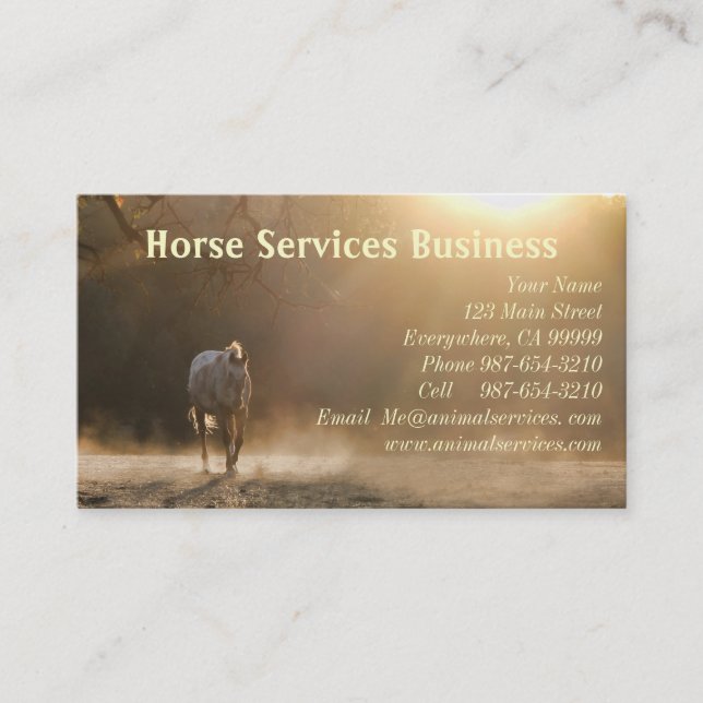 Horse Services/Horse Veterinarian Business Cards (Front)