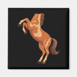 Horse Shirt Adult Kids Men Women Body Horse Costum Magnet