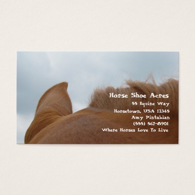 Horse Shoe Acres Sorrel Horse (Front)