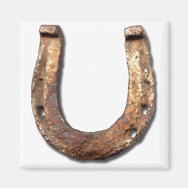 Horse Shoe Magnet (Front)