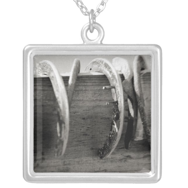 Horse Shoes Silver Plated Necklace (Front)