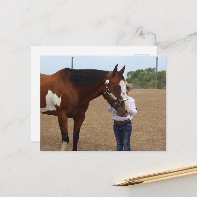 Horse Show Showmanship Bay Paint Postcard (Front/Back In Situ)