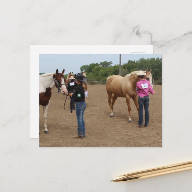 Horse Show Showmanship Paint and Palomino Postcard (Front/Back In Situ)