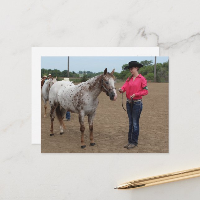 Horse Show Showmanship Postcard (Front/Back In Situ)