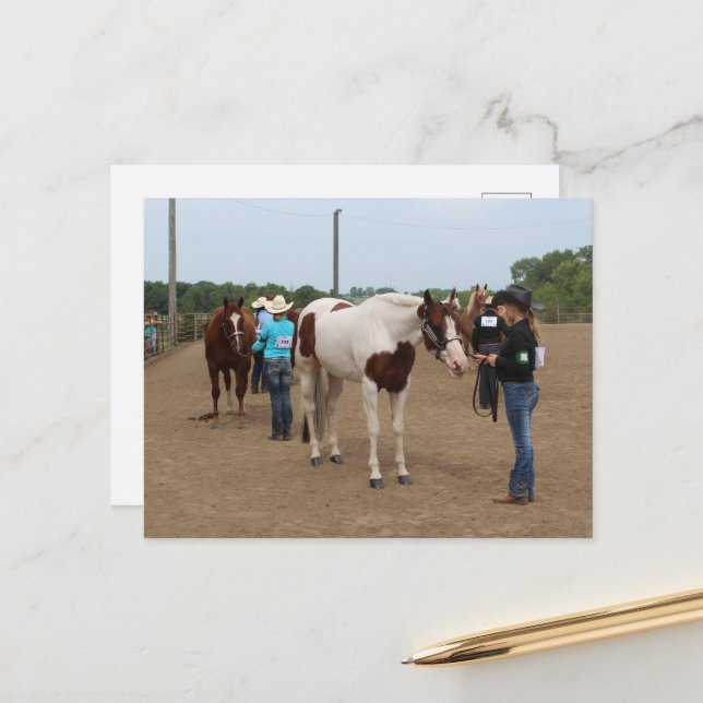 Horse Show Showmanship Postcard (Front/Back In Situ)