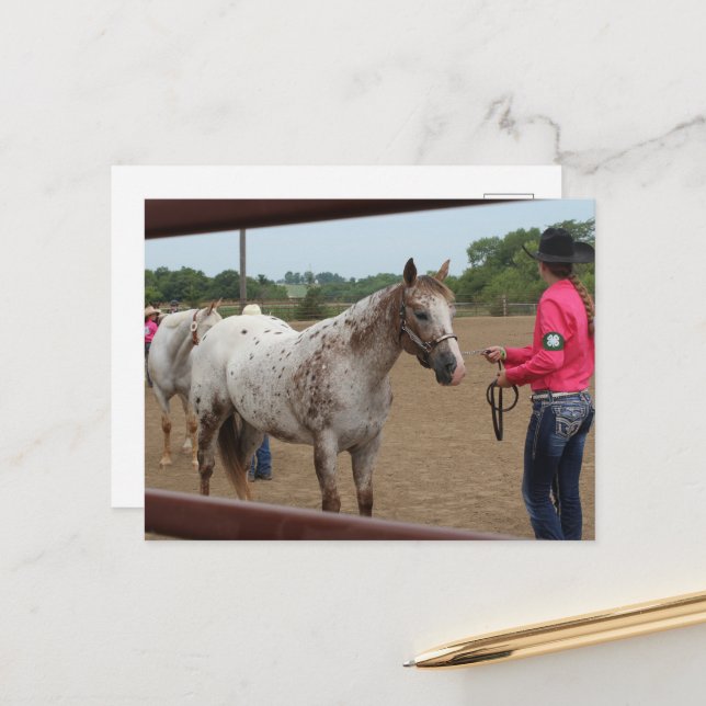 Horse Show Showmanship Spotted Pony of America  Postcard (Front/Back In Situ)